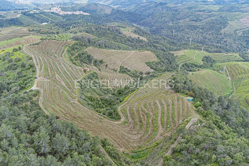 Foto 3722613d-60a6-40dd-8e6a-910023a716a4. Residential plot in Pobla de Claramunt (La)