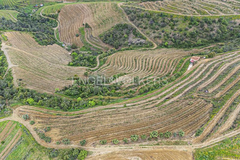 Foto 4de993de-eba4-4525-8174-0995dd131f6d. Residential plot in Pobla de Claramunt (La)