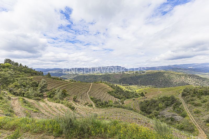 Foto adcfd886-1dba-4236-bc2b-4145ef4e0905. Residential plot in Pobla de Claramunt (La)