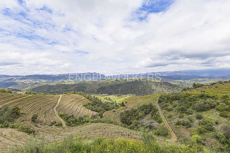 Foto dc77a74d-2a28-4a7c-adc1-8315781740e3. Residential plot in Pobla de Claramunt (La)