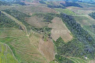 Terreny residencial a Pobla de Claramunt (La). Finca de 13 h, 7 h de viñedos en bellmunt del priorat tarragona