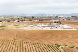 Nau industrial a Sant Martí Sarroca. Finca en la bleda alt penedès de 32.980 m2.