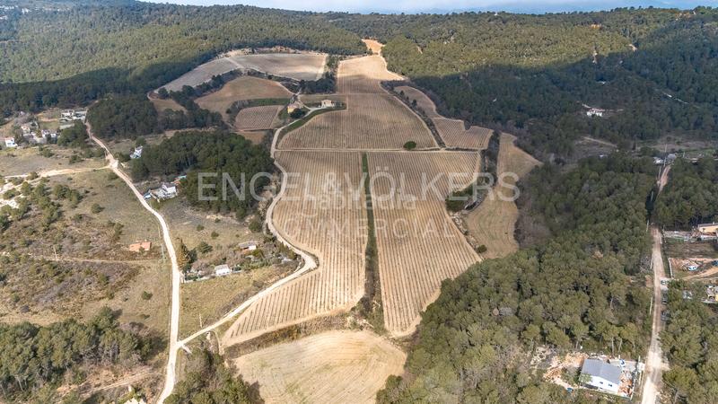 Foto 035445ff-8636-437e-b7e5-b1cffd0dba80. Wohngrundstück in Querol