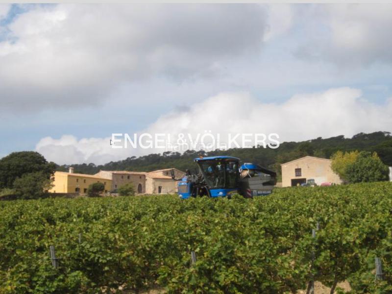 Foto 183797d8-e3ee-4512-bf92-5468fe008b5b. Wohngrundstück in Querol