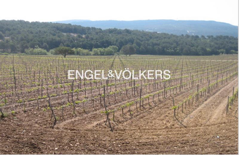 Foto ea4b81ed-25c3-4c65-9875-f328966dbf3c. Wohngrundstück in Querol