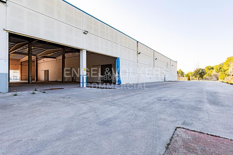 Foto ce7e0bd6-03c0-44a5-9d29-eaedfb7212fc. Affitto capannone industriale in Arboç (L´)