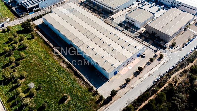 Foto d91dde0e-dec6-4f87-b4e8-17400260038a. Affitto capannone industriale in Arboç (L´)