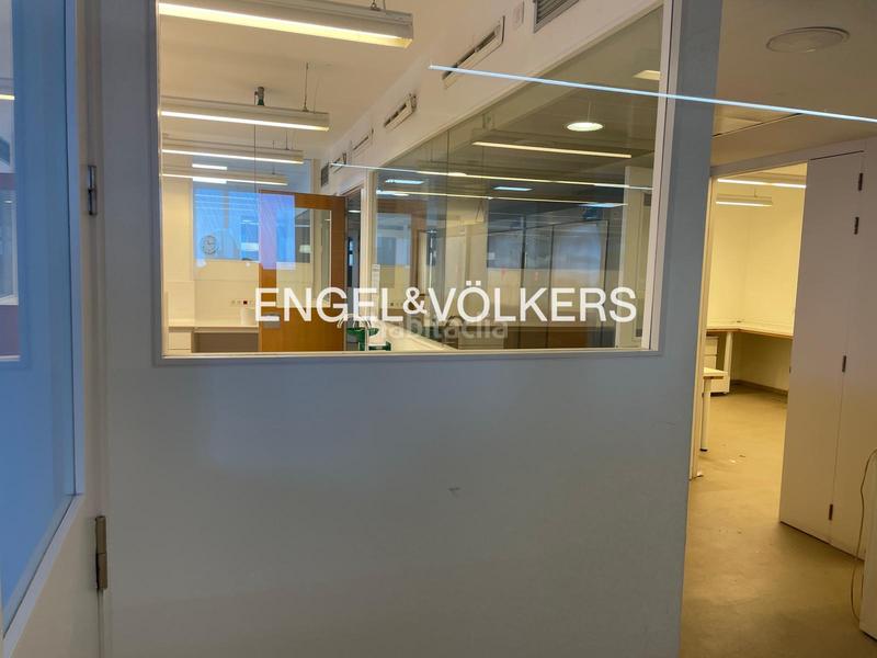 Foto b3b0718d-41e3-43a0-aa0c-ec66323423b9. Location bâtiment à usage industriel dans Sant Josep Hospitalet de Llobregat (L´)