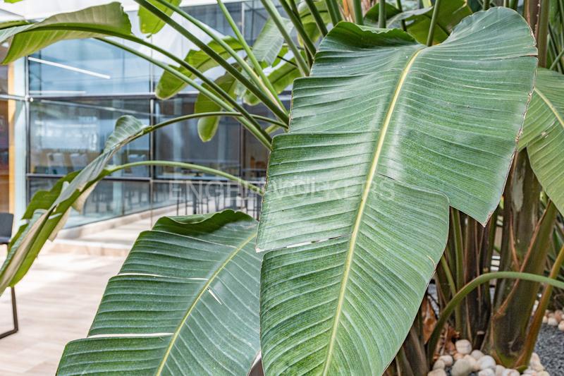 Foto 0491472d-af47-4a4e-b280-c9a2c10aca79. Rent office space in Eixample Sant Cugat del Vallès