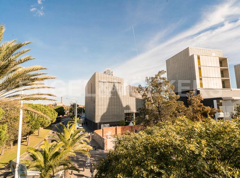 Foto 062b6e04-f2bf-4f71-bec7-7a78bea30b8c. Affitto locale commerciale in Barceloneta Barcelona