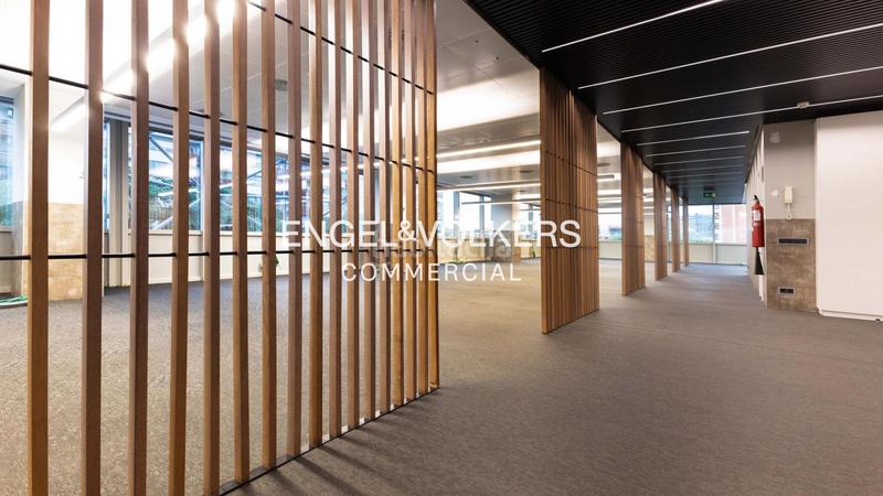 Foto 8b024de2-71a8-4f70-a2f4-21a368d2fd97. Rent office space with parking in Hostafrancs Barcelona