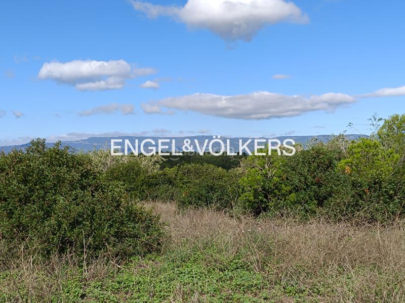 Foto 30dd3f29-f696-45e7-929e-5fd8c0586f50. Wohngrundstück in Pallaresos (Els)