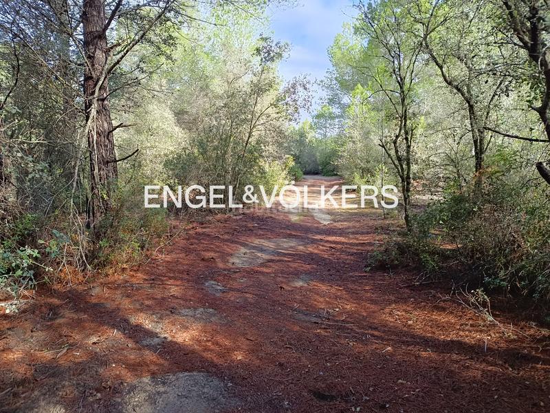 Foto 8c2c6341-fc17-4cbe-b243-b8a5ec9fff26. Wohngrundstück in Pallaresos (Els)