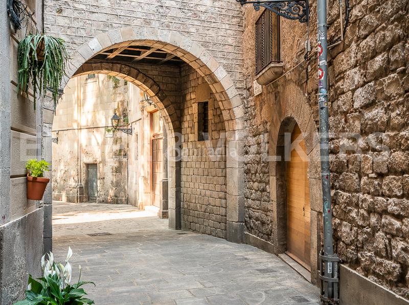 Foto 972d1adf-b49c-4ce8-b6f1-b47fc47054c3. Edifici a Raval Barcelona