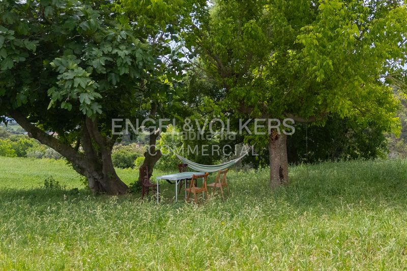 Foto 0f7d1c03-1cb4-49ec-8203-e4b2010986c4. Edificio finca agrícola con masía en Cànoves i Samalús