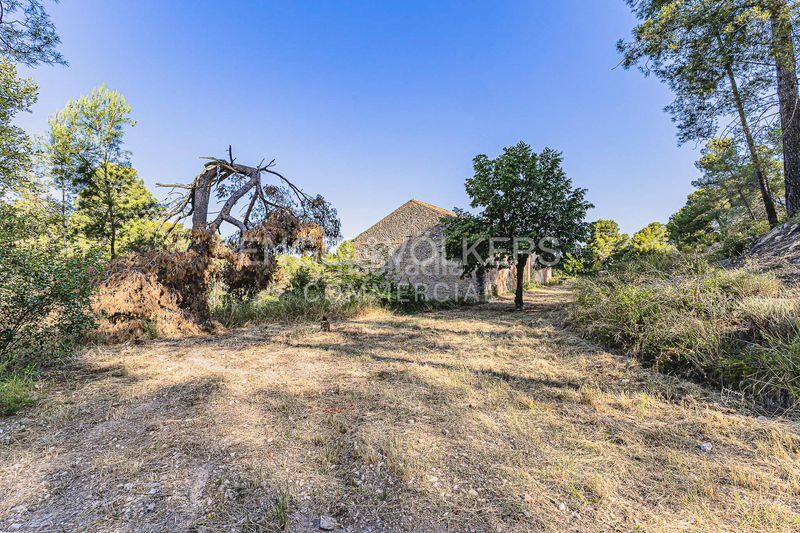 Foto 1f62fe43-6363-4e6d-a628-b4a1f439917a. Edifici a Centre Històric Lleida