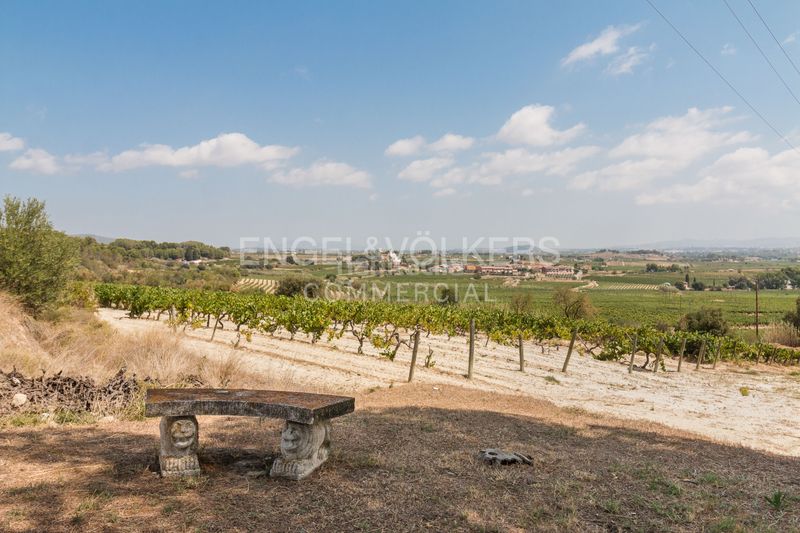 Foto c2516265-f780-4685-8488-e4b782d33860. Edificio in Castellet i la Gornal
