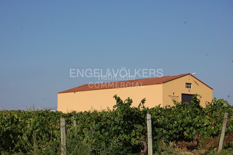 Foto dc517387-bb22-44ed-9aa3-73411bed9c78. Edificio in Castellet i la Gornal