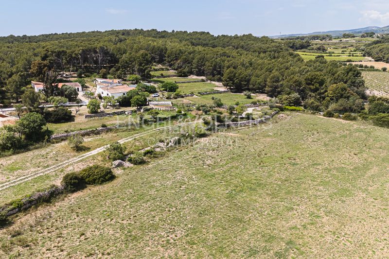 Foto 964f3d58-f3c9-43b4-92a7-cd121b13fbb6. Edificio masia les farigoles en Centre Sant Pere de Ribes