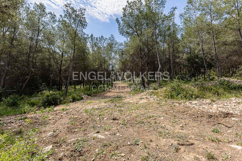 Foto e6a29f8d-696a-45ac-9c11-bf3a6b82e4ca. Edificio masia les farigoles en Centre Sant Pere de Ribes