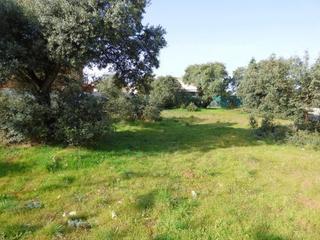 Terreny residencial  Calle cerca cuartana