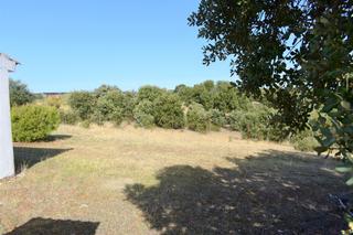 Fondo rustico in Carretera de ajalvir 42