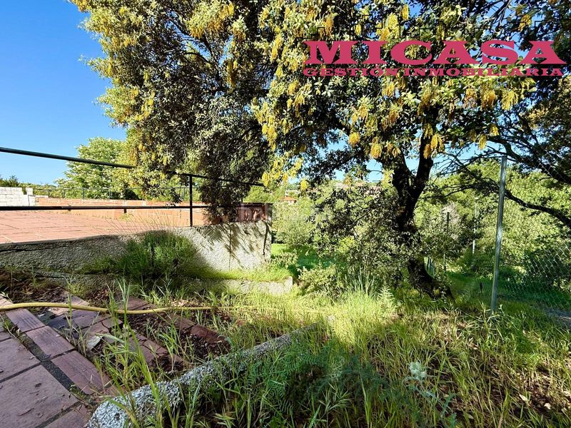 Foto 1f627114-e07a-4118-b91b-a07bbb3963c9. Terreny residencial a Casar (El)