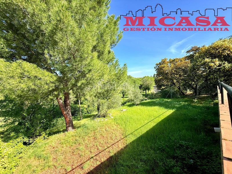 Foto 4021ea93-fba9-4156-9595-c2d7681e34f5. Terreny residencial a Casar (El)