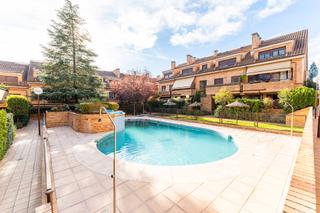 Piso  Calle gorrión. ¡capital home vende en exclusiva estupendo duplex en sevilla la