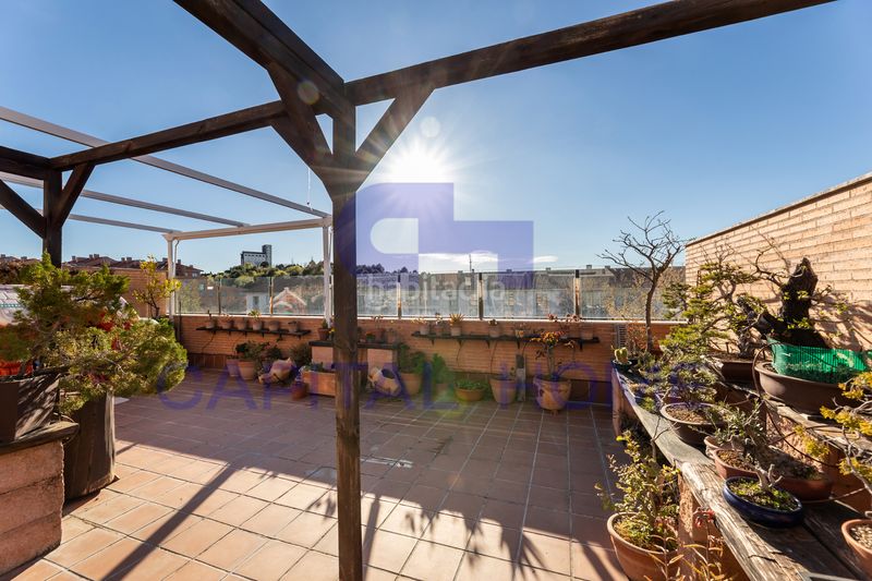 Foto 87f62305-3f1b-4971-92f0-de4d48b855f5. Àtic amb calefacció aparcament piscina a La Dehesa - El Pinar Navalcarnero