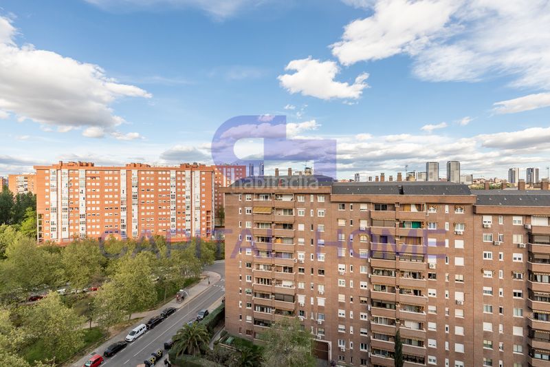 Foto 2c54da01-467e-4b33-abc8-6516a2d28917. Estudi a Peñagrande Madrid