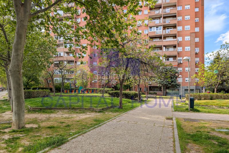 Foto 58dac5e8-65ec-4aeb-8d7e-0f19b6ea7a4b. Estudi a Peñagrande Madrid