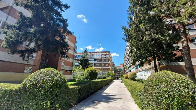 Foto 4aa075d2-7ee3-45d7-8271-9e8d3fb47d18. Pis amb calefacció a Zarzaquemada Leganés