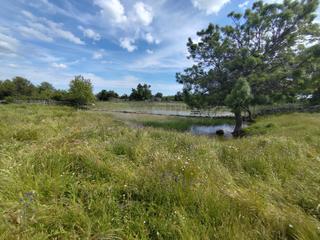 Industrial plot en Zarzalejo