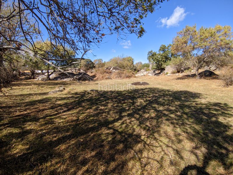 Foto f5296df2-3e57-44aa-bf47-59a070b1ff0c. Finca rústica a Zarzalejo