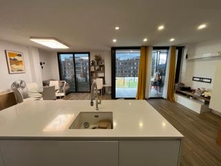 Pis  Carrer josep maria sert. Pis seminou