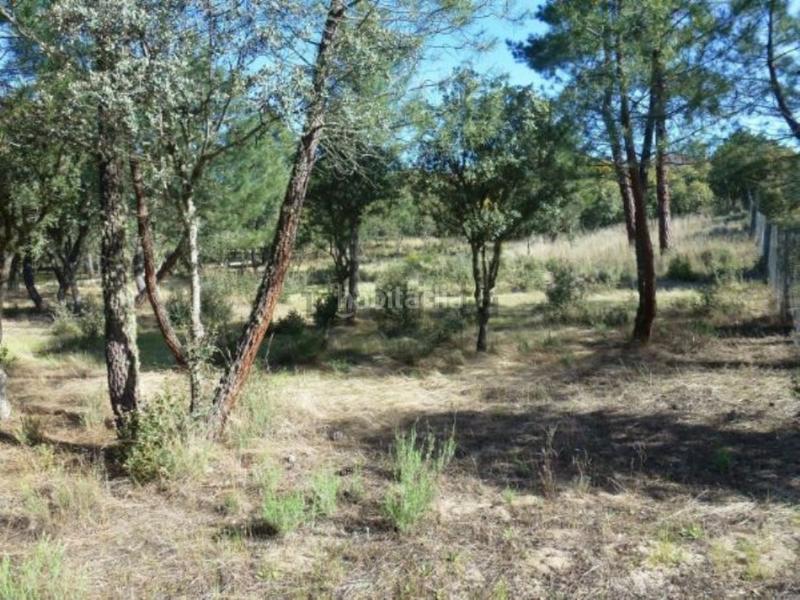 Foto 8a3e3449-693b-45f3-897a-73a849bdb343. Terreno residencial parcela urbana en venta en Marugán