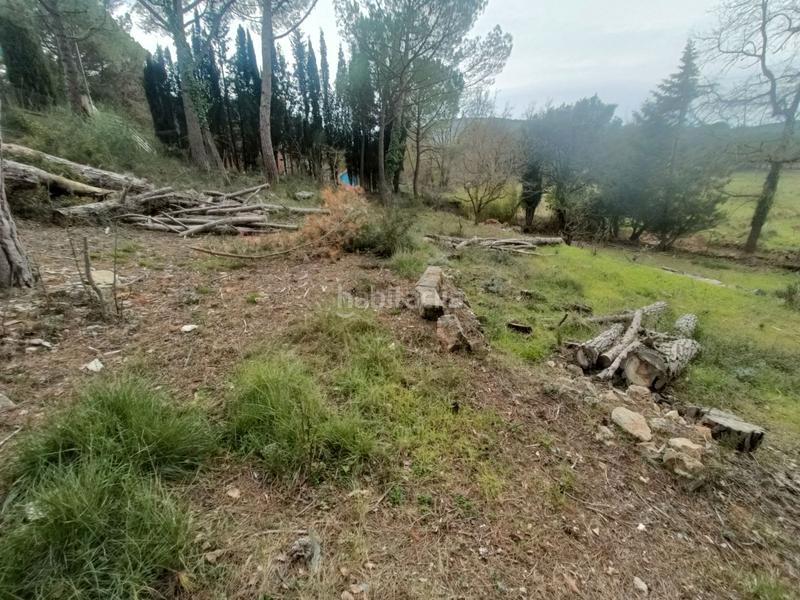 Foto 8dd48026-7bc8-437d-b81f-3989c0edb5e2. Wohngrundstück in Begues