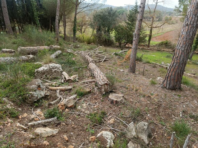 Foto f52f7550-4af9-4781-90cb-402fa577bba3. Wohngrundstück in Begues