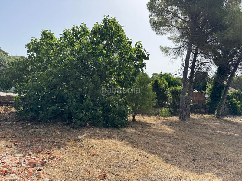 Foto 97bda6f1-d8c9-4fed-af13-13cc4db5a506. Terreny residencial a Begues