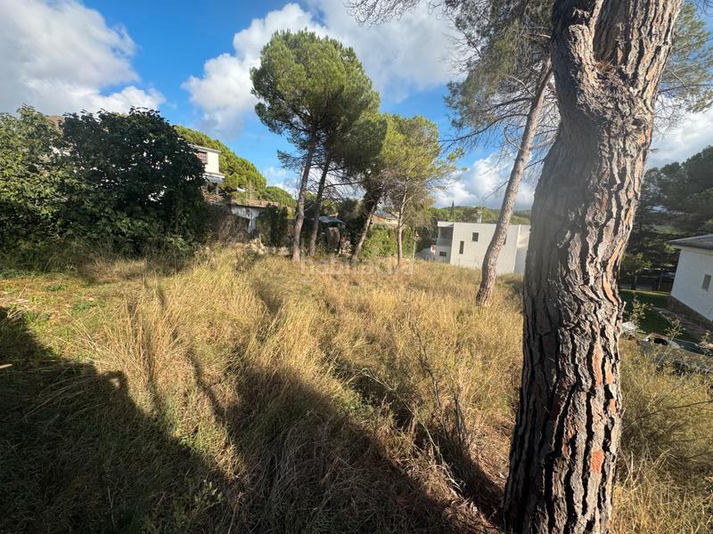 Foto c935c6c6-d550-44cb-92ef-d3decbbda4da. Wohngrundstück in Begues