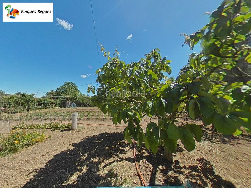 Foto fdfeae52-3ac5-40f9-a470-b5143208560b. Masia a n/a a Begues