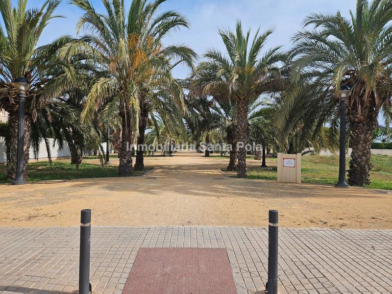 Foto 78ade99a-6a73-4cef-9047-c0998231e095. Terrain résidentiel dans Centro Elche / Elx