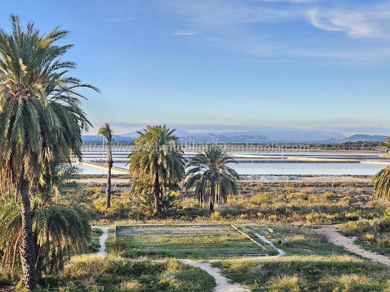 Foto 24b8fe52-2015-447e-ba79-caeda6f5733b. Etagenwohnung mit pool in Playa Tamarit-Playa Lissa Santa Pola