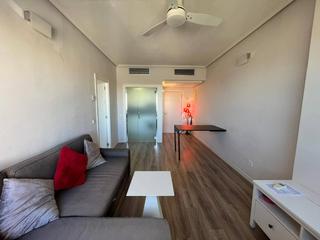 Lloguer Pis a Castilla. Se alquila vivienda de un dormitorio en una de las mejores zonas