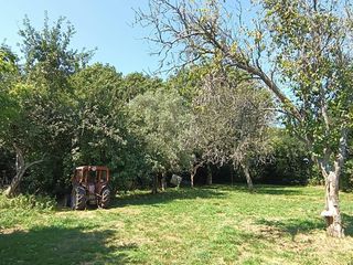 Casale in Aranga. Caserio para inversores 75.000, oportunidad unica en la zona de