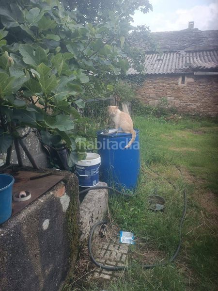 Foto 3560bb0c-3747-44c8-8144-a5c3d5eedd42. Masia a Aranga