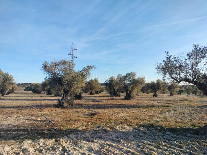 Foto c2c1d85d-9b9e-487f-9c77-f36df2b6a97b. Terreno residenziale in Torrejón de Velasco