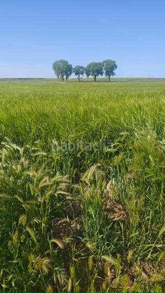 Foto 03924e82-43c0-46cd-9d7e-d95d91330e5b. Wohngrundstück in Chinchón - camino de valdeliceda. chinchon madrid in Chinchón