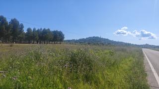 Terreno residencial en Chinchón - camino de san juan. chinchon madrid. Exclusiva finca rústica en venta  chinchón, junto a la carretera